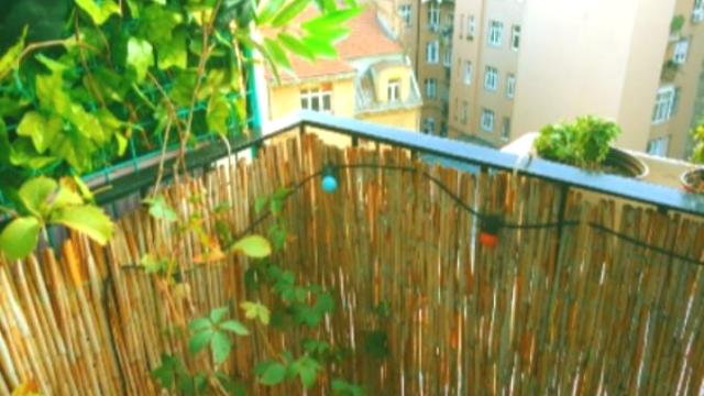 Stan, Jednosoban, Prodaja, 33m2, Trg Republike, Stari grad, Makedonska