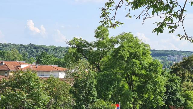 Stan, Petosoban i veći, Prodaja, 220m2, Velisava Vulovića