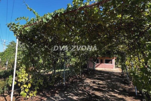 prodaja, kuca,
cortanovci-opstina-indjija, 921885, dvosoban