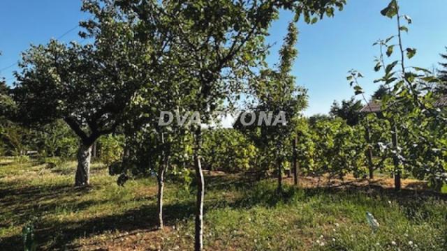 Kuća, Dvosoban, Prodaja, 18m2, Čortanovci, Okolno mesto, Indjija