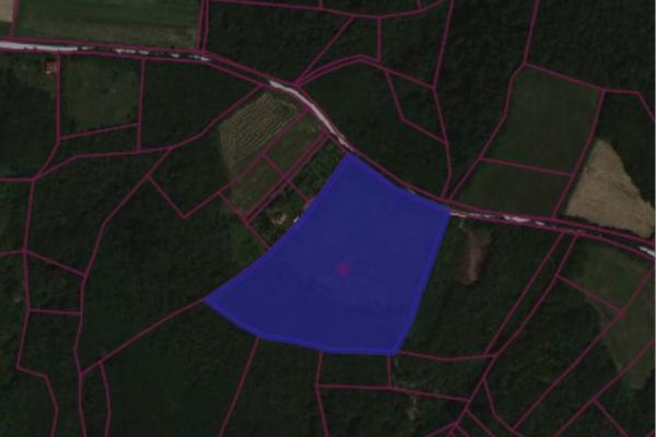 prodaja, plac,
darosava-opstina-arandjelovac, 922183, darosava