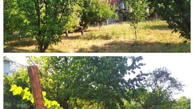 Kuća, četvorosoban, Prodaja, 112m2, Rakovac, Okolno mesto, Beočin