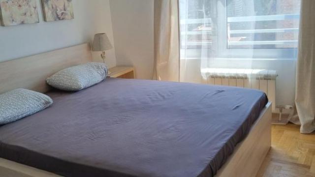 Stan, Dvosoban, Izdavanje, 56m2, Južni bulevar, Vračar, Maksima Gorkog