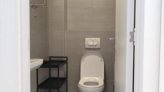 Stan, Trosoban, Izdavanje, 70m2, Južni bulevar, Vračar, Braće Radovanović