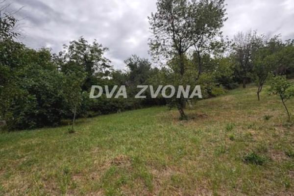 prodaja, plac,
cortanovci-opstina-indjija, 925643, plac