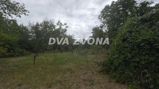 Plac, Prodaja, m2, Čortanovci, Okolno mesto, Indjija