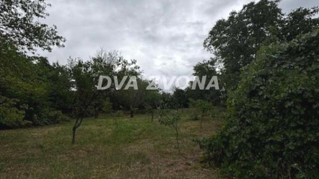 Plac, Prodaja, m2, Čortanovci, Okolno mesto, Indjija