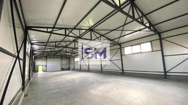 Poslovni prostor, Izdavanje, 300m2, Borča, Palilula, Milice Prodanović