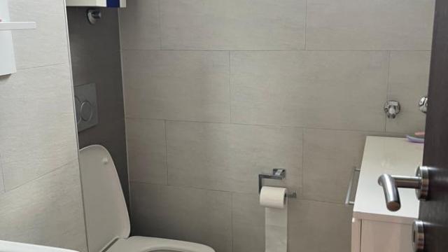 Stan, Trosoban, Izdavanje, 113m2, Hram svetog Save, Vračar, Gospodara Vučića