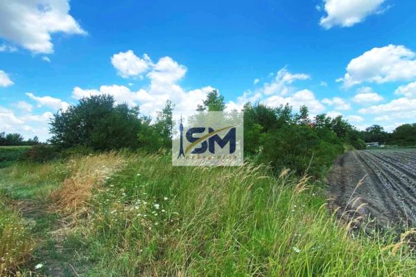 prodaja, plac,
borca-palilula-beograd, 926710, fokidska