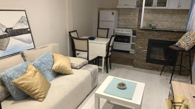 Stan, Jednoiposoban, Izdavanje, 35m2, Dorćol, Stari grad, Visokog Stevana