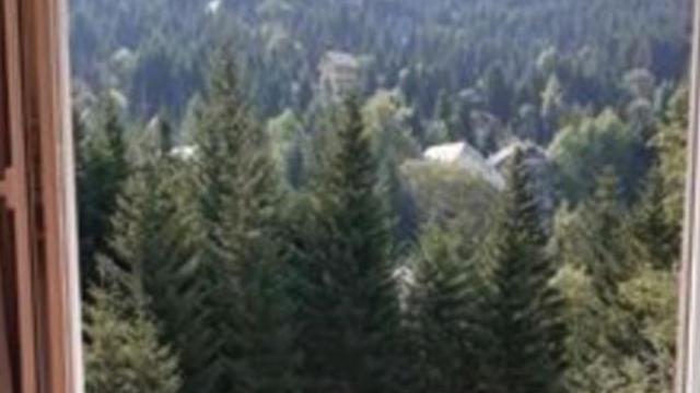 Stan, Dvosoban, Prodaja, 35m2, Duska Radovica