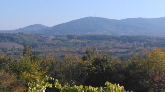 Plac, Prodaja, m2, Sopot, Sopot