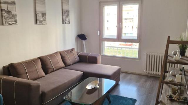 Stan, Dvosoban, Izdavanje, 50m2, Blok 61, Novi Beograd, Dr.Ivana Ribara