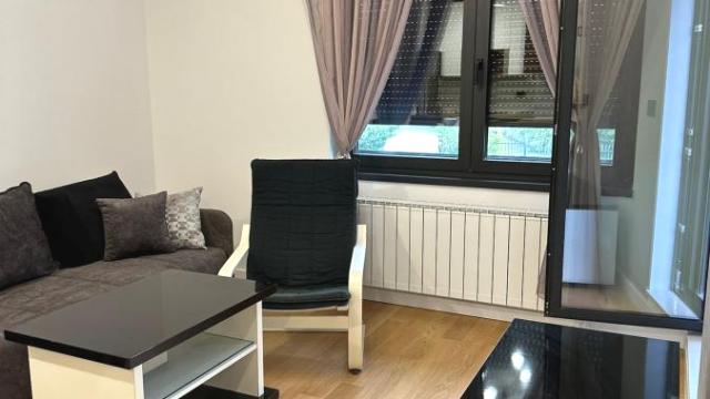 Stan, Dvosoban, Izdavanje, 46m2, Crveni krst, Vračar, Tome Maksimovića