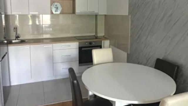 Stan, Dvosoban, Izdavanje, 54m2, Južni bulevar, Vračar, Vardarska