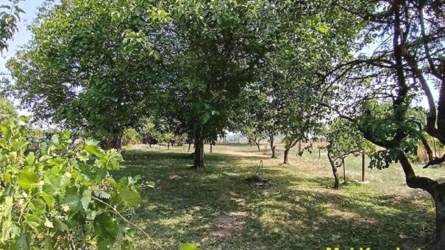 Kuća, Dvosoban, Prodaja, 54m2, Stari Banovci, Okolno mesto, Braće Trninić