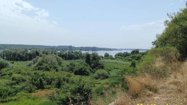 Kuća, Dvosoban, Prodaja, 54m2, Stari Banovci, Okolno mesto, Braće Trninić
