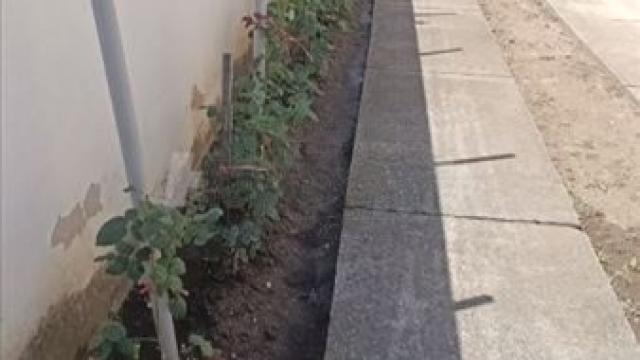 Kuća, Petosoban i veći, Prodaja, 180m2, Busije, Zemun, Prote Jeftimija Ivanovica