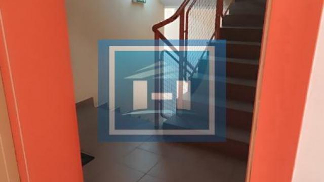 Stan, Jednosoban, Izdavanje, 46m2, Pivara, Gradska lokacija, Jagodina