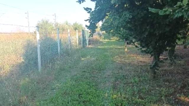 Plac, Prodaja, m2, Nova Pazova, Okolno mesto, Stara Pazova