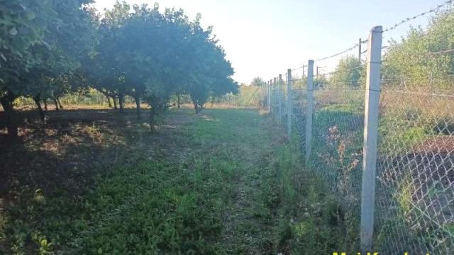 Plac, Prodaja, m2, Nova Pazova, Okolno mesto, Stara Pazova