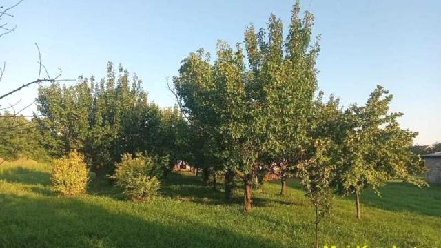 Kuća, Prodaja, 431m2, Nova Pazova, Okolno mesto, Kneza Mihaila