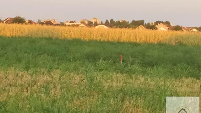 Plac, Prodaja, m2, Veternik, Novi Sad, Novi Sad