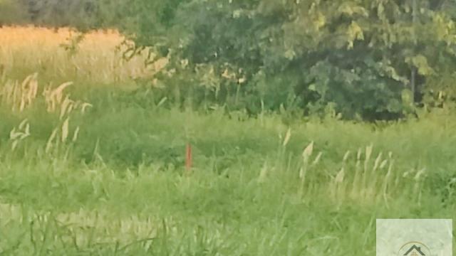 Plac, Prodaja, m2, Veternik, Novi Sad, Novi Sad