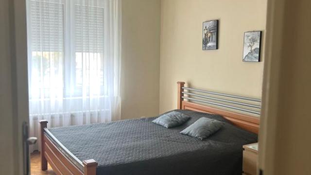 Stan, Dvosoban, Izdavanje, 55m2, Bajlonijeva pijaca, Stari grad, Đorđa Jovanovića