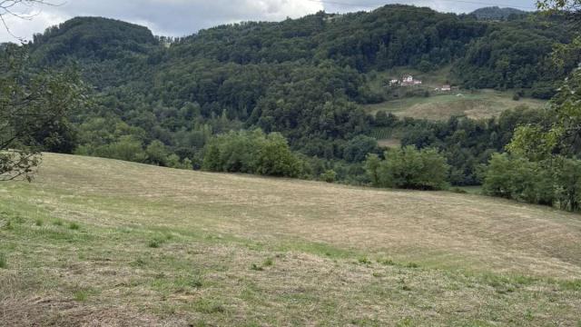 Kuća, Dvosoban, Prodaja, 120m2, Viča