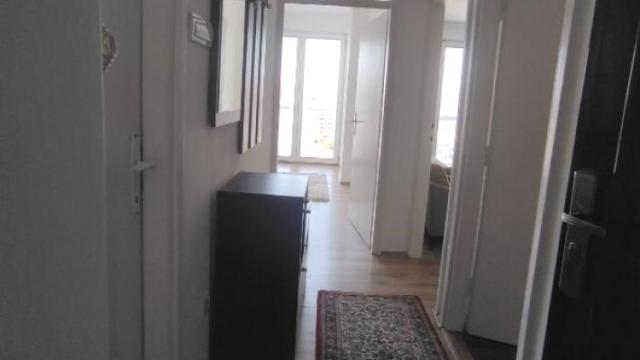 Stan, Jednoiposoban, Izdavanje, 45m2, Centar, Palilula, Šajkaška
