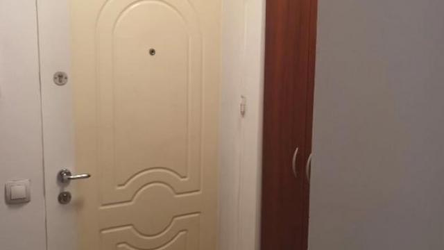 Stan, Jednoiposoban, Izdavanje, 31m2, Zeleno brdo, Zvezdara, Steve Vargaša