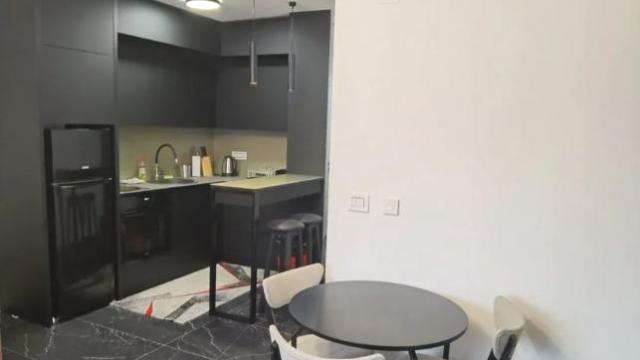Stan, Jednoiposoban, Izdavanje, 40m2, Karadjordjev park, Vračar, Nebojšina