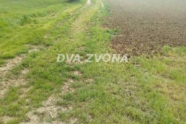 prodaja, plac,
cortanovci-opstina-indjija, 932297, plac