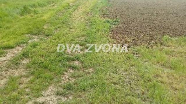 Plac, Prodaja, m2, Čortanovci, Okolno mesto, Indjija