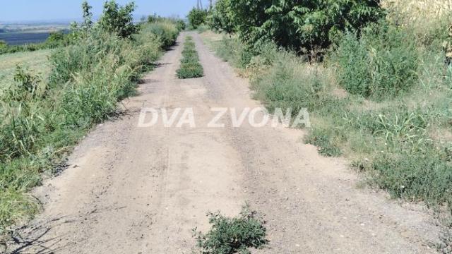 Plac, Prodaja, m2, Novi Slankamen, Okolno mesto, Indjija