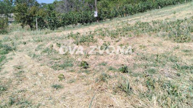 Plac, Prodaja, m2, Novi Slankamen, Okolno mesto, Indjija