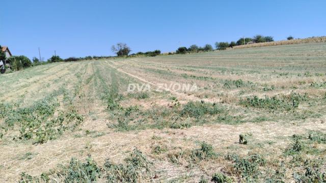 Plac, Prodaja, m2, Novi Slankamen, Okolno mesto, Indjija