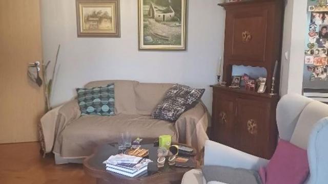 Stan, Dvosoban, Prodaja, 50m2, Kluz, Zvezdara, Živka Davidovića