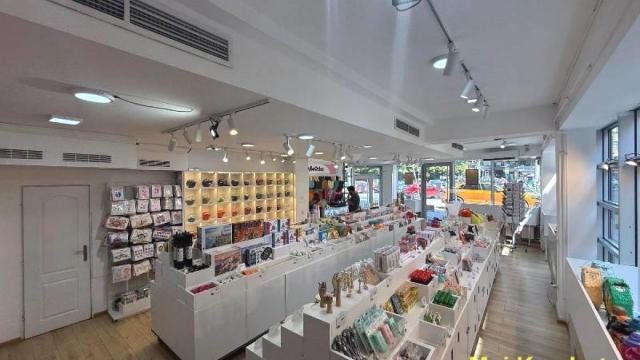 Poslovni prostor, Izdavanje, 150m2, Čubura, Vračar, Makenzijeva