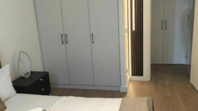 Stan, Dvosoban, Izdavanje, 59m2, Beograd na vodi, Savski venac, Luke Ćelovića Trebinjca