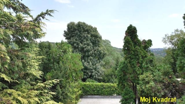 Kuća, Izdavanje, 390m2, Dedinje, Savski venac, Diane Budisavljević