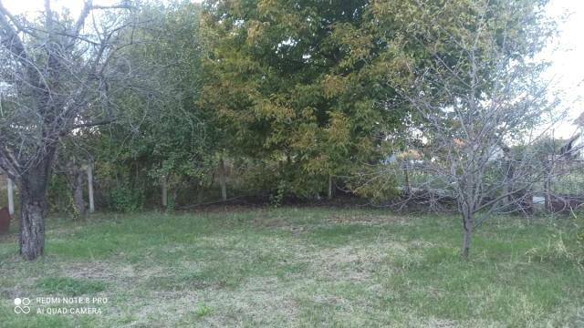 Kuća, Prodaja, 32m2, Okolno mesto, Jagodina