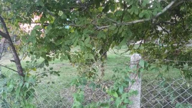 Kuća, Prodaja, 32m2, Okolno mesto, Jagodina