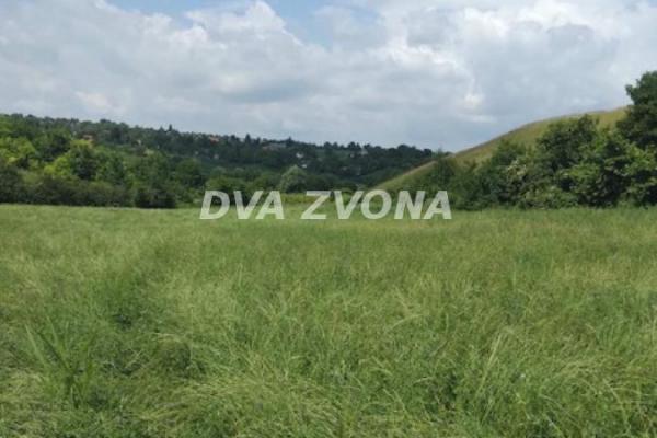 prodaja, plac,
cortanovci-opstina-indjija, 938976, plac