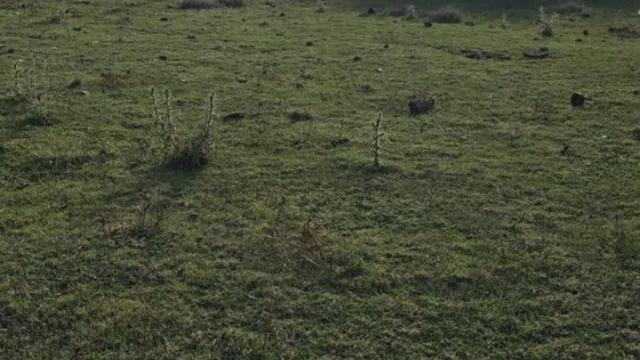 Plac, Prodaja, m2, Velika Ivanča, Mladenovac, Kosmajska padina