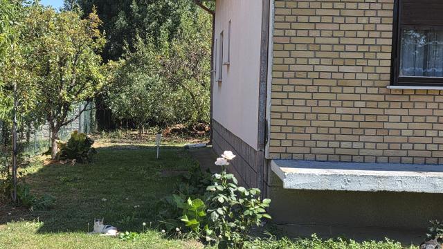 Kuća, Petosoban i veći, Prodaja, 224m2, Ratari, Okolno mesto, Šiljakovačka