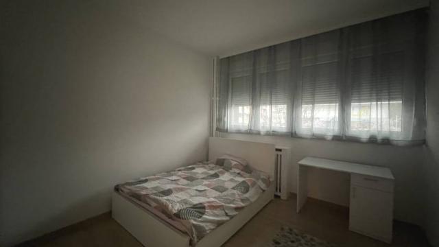 Stan, Troiposoban, Izdavanje, 75m2, Cvijićeva