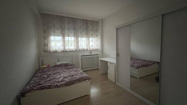 Stan, Troiposoban, Izdavanje, 75m2, Cvijićeva